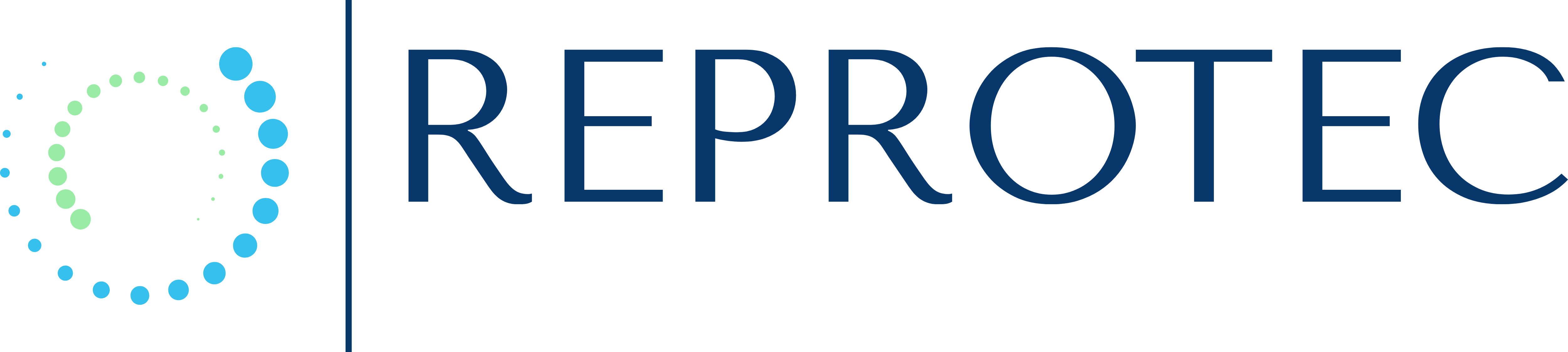 Logo Reprotec